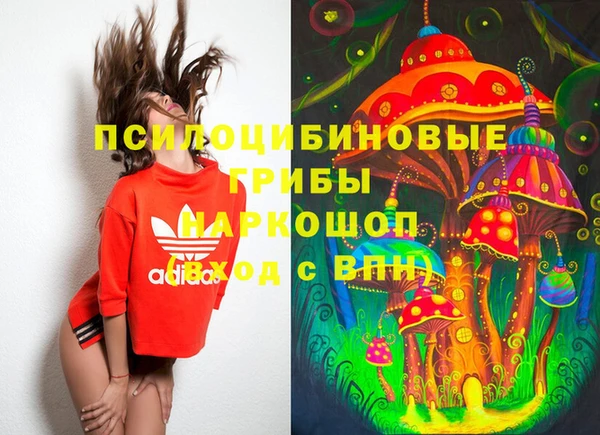 герыч Алексин
