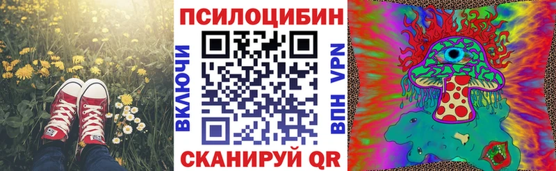 закладка  Минусинск  Галлюциногенные грибы MAGIC MUSHROOMS 